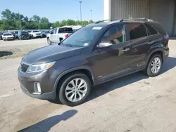 Salvage cars for sale at Fort Wayne, IN auction: 2014 KIA Sorento EX