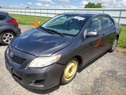 Toyota salvage cars for sale: 2010 Toyota Corolla Base