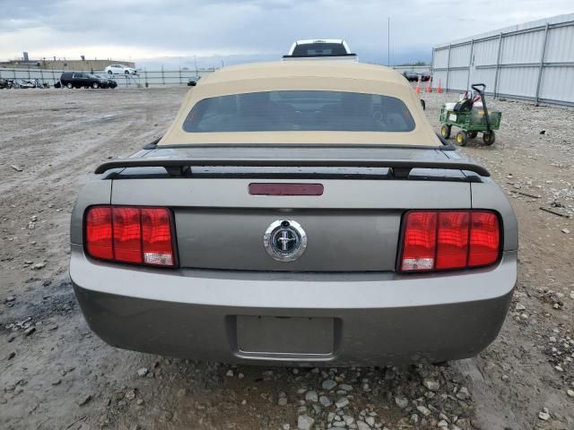 2005 Ford Mustang