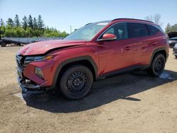 Salvage cars for sale from Copart Ontario Auction, ON: 2023 Hyundai Tucson Luxury