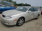 2005 Lexus ES 330