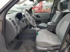 2005 Ford Escape XLT