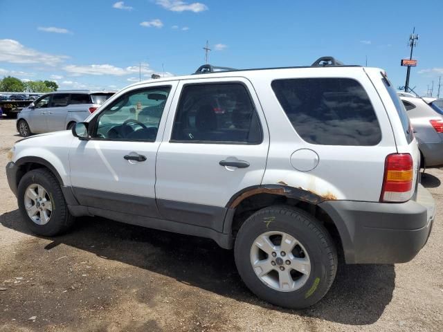 2007 Ford Escape XLT