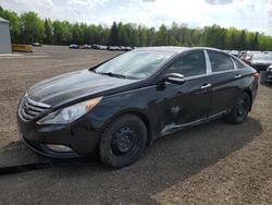 Vehiculos salvage en venta de Copart Bowmanville, ON: 2011 Hyundai Sonata SE