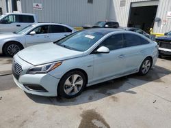 Salvage cars for sale from Copart New Orleans, LA: 2016 Hyundai Sonata Hybrid