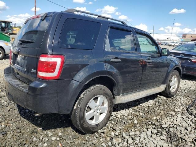 2011 Ford Escape XLT