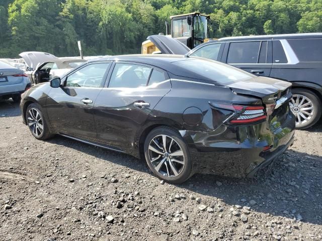 2023 Nissan Maxima SV