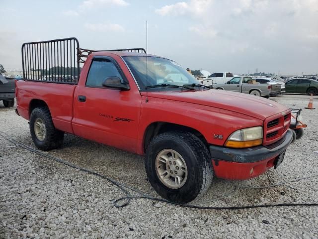 1999 Dodge Dakota