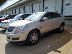 Salvage cars for sale from Copart Louisville, KY: 2010 Cadillac SRX Luxury Collection