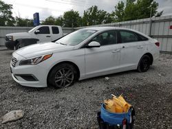 Salvage cars for sale from Copart Walton, KY: 2016 Hyundai Sonata SE