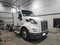 Salvage trucks for sale at Cicero, IN auction: 2020 Peterbilt 579