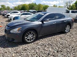 Salvage cars for sale at Chalfont, PA auction: 2009 Nissan Maxima S