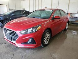 Salvage cars for sale at Madisonville, TN auction: 2019 Hyundai Sonata SE