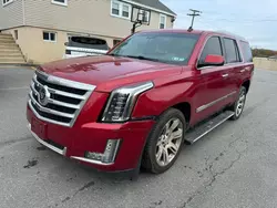 Salvage cars for sale at North Billerica, MA auction: 2015 Cadillac Escalade Premium