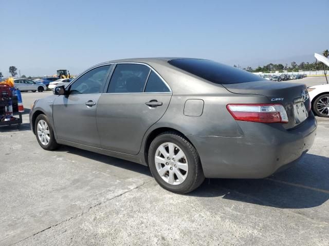 2008 Toyota Camry Hybrid