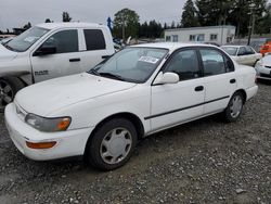 Toyota Corolla DX salvage cars for sale: 1997 Toyota Corolla DX