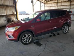 Salvage cars for sale at Phoenix, AZ auction: 2017 Ford Escape SE