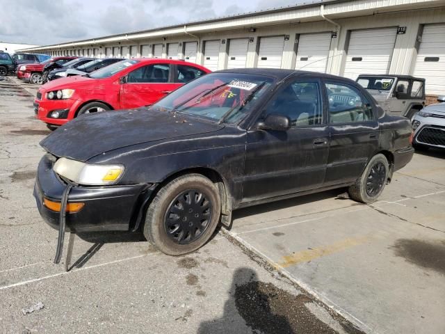 1995 Toyota Corolla LE