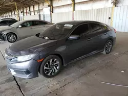 Salvage cars for sale at Phoenix, AZ auction: 2016 Honda Civic EX