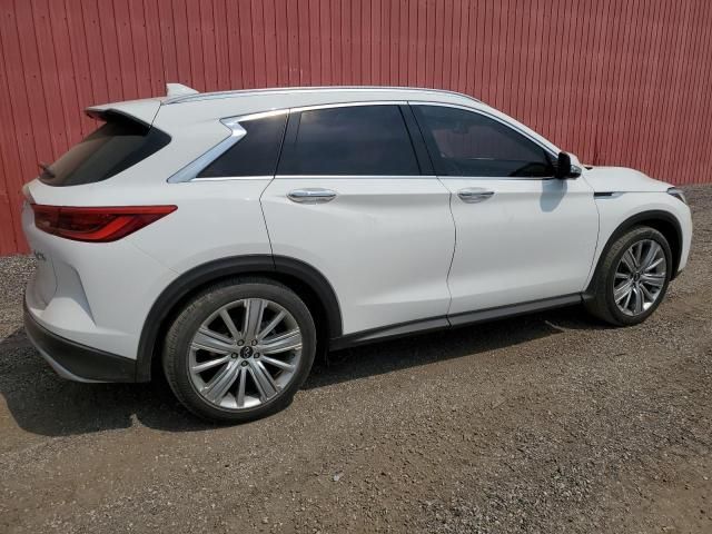 2020 Infiniti QX50 Pure