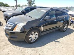 Salvage cars for sale at San Martin, CA auction: 2011 Cadillac SRX