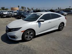 Salvage cars for sale at Colton, CA auction: 2019 Honda Civic LX