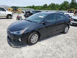 Salvage cars for sale at Memphis, TN auction: 2019 Hyundai Elantra SE