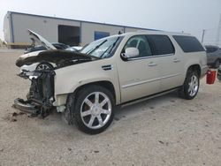 Salvage cars for sale at Haslet, TX auction: 2009 Cadillac Escalade ESV Luxury