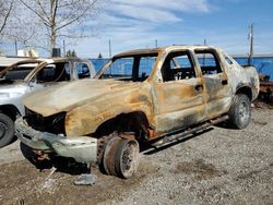 Salvage trucks for sale at Rocky View County, AB auction: 2006 Chevrolet Avalanche K1500