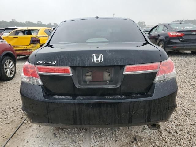 2011 Honda Accord EXL