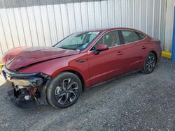 Salvage cars for sale at Greenwell Springs, LA auction: 2024 Hyundai Sonata SEL