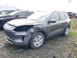Salvage cars for sale from Copart Montreal Est, QC: 2021 Ford Escape SEL