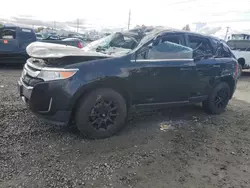 Salvage cars for sale from Copart Eugene, OR: 2012 Ford Edge Limited