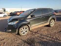 Salvage cars for sale at Phoenix, AZ auction: 2014 Ford Escape Titanium