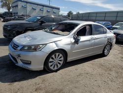 Salvage cars for sale at Albuquerque, NM auction: 2013 Honda Accord EXL