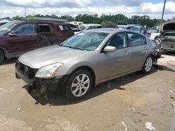 Salvage cars for sale from Copart Louisville, KY: 2007 Nissan Maxima SE