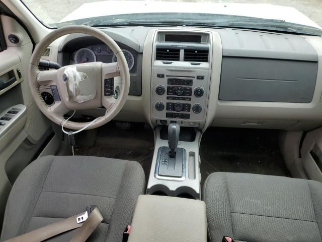 2010 Ford Escape XLT