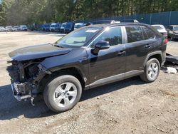 Salvage cars for sale at Graham, WA auction: 2020 Toyota Rav4 XLE