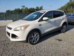 Ford Escape salvage cars for sale: 2013 Ford Escape SEL