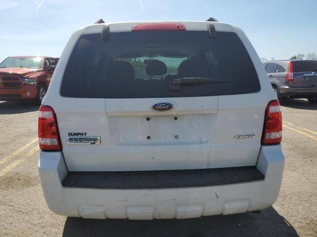 2009 Ford Escape XLT