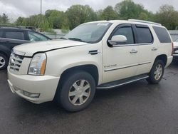 Salvage cars for sale from Copart Assonet, MA: 2009 Cadillac Escalade