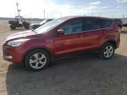 Carros dañados por granizo a la venta en subasta: 2014 Ford Escape SE