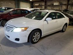 Toyota salvage cars for sale: 2010 Toyota Camry Base