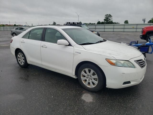 2009 Toyota Camry Hybrid