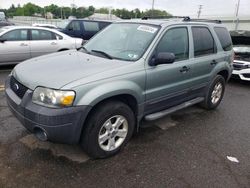 Salvage cars for sale at Pennsburg, PA auction: 2007 Ford Escape XLT