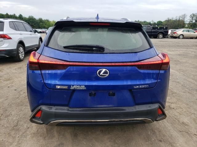 2020 Lexus UX 250H