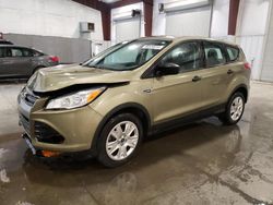 Salvage cars for sale at Avon, MN auction: 2013 Ford Escape S