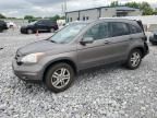 2010 Honda CR-V EXL