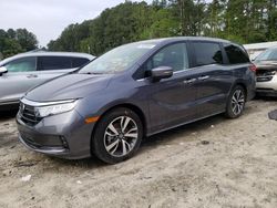 Honda Odyssey salvage cars for sale: 2024 Honda Odyssey Touring