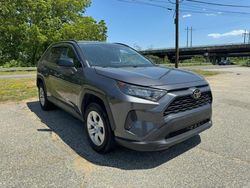 Toyota Rav4 LE salvage cars for sale: 2021 Toyota Rav4 LE